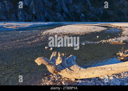 Wild river landscape Isar valley Stock Photo