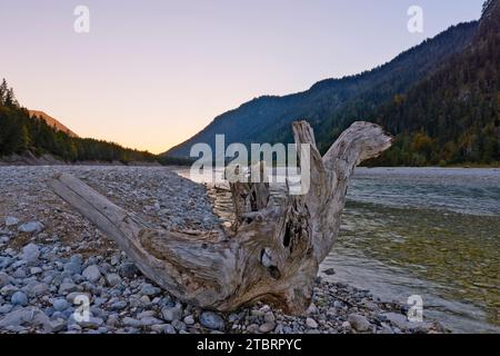 Wild river landscape Isar valley Stock Photo