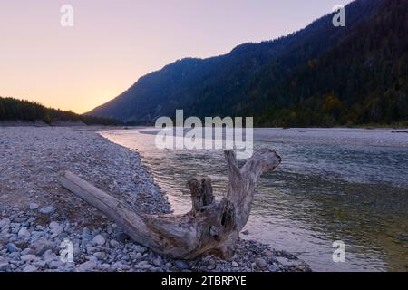 Wild river landscape Isar valley Stock Photo