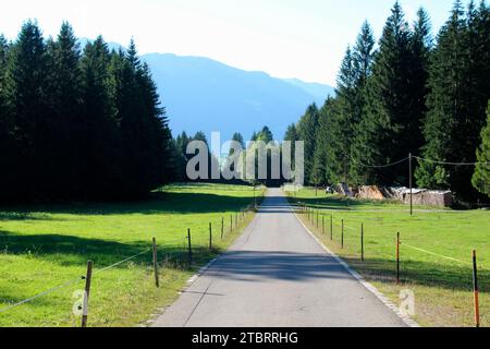 Access road to the hiking parking lot in Eschenlainetal, Eschenlohe, Loisachtal, Upper Bavaria, Bavaria, Germany, Europe Stock Photo