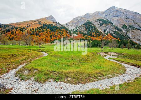 Autumn colors in the steep mountain forest of the Großer Ahornboden in the Karwendel mountains Stock Photo