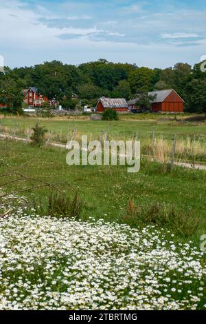 Farm in Sweden, Järnavik, Sweden Stock Photo