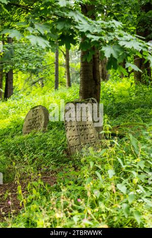 Europe, Poland, Podkarpackie Voivodeship, The Jewish Cemetery in Lesko Stock Photo