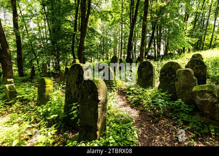 Europe, Poland, Podkarpackie Voivodeship, The Jewish Cemetery in Lesko Stock Photo