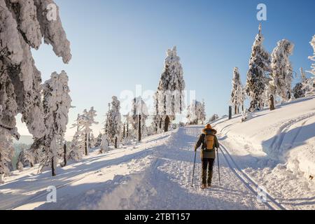 Winter nordic walking in snow at mountains. Woman with backpack and hiking poles walks on trekking trail in snowy forest Stock Photo