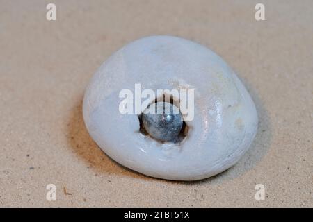 Rattling stone, pebble with hole and small pebble stuck in it Stock Photo
