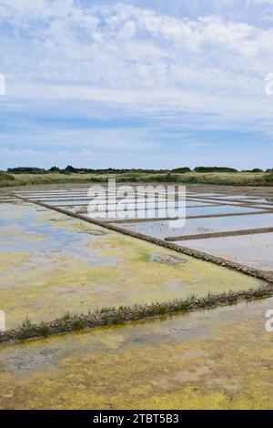 Seawater salt pans, Guerande, Loire-Atlantique, Pays de la Loire, Brittany, France Stock Photo