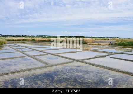 Seawater salt pans, Guerande, Loire-Atlantique, Pays de la Loire, Brittany, France Stock Photo