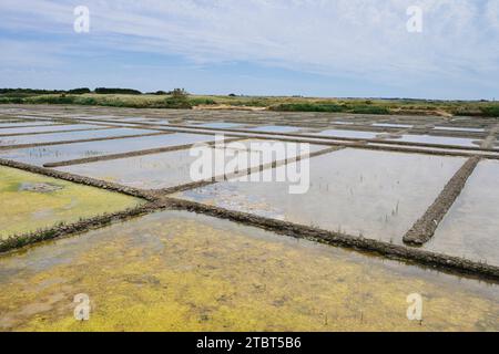 Seawater salt pans, Guerande, Loire-Atlantique, Pays de la Loire, Brittany, France Stock Photo