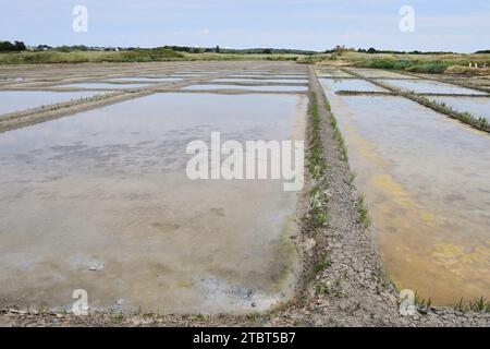 Seawater salt pans, Guerande, Loire-Atlantique, Pays de la Loire, Brittany, France Stock Photo