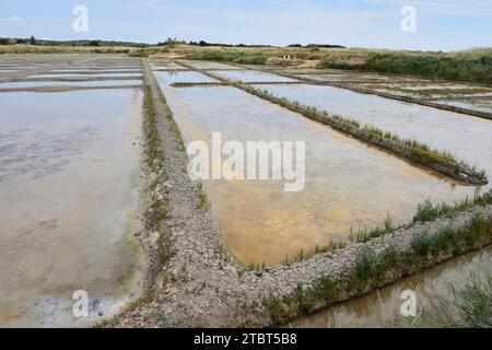 Seawater salt pans, Guerande, Loire-Atlantique, Pays de la Loire, Brittany, France Stock Photo