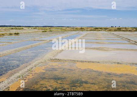 Seawater salt pans, Guerande, Loire-Atlantique, Pays de la Loire, Brittany, France Stock Photo