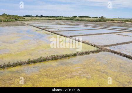 Seawater salt pans, Guerande, Loire-Atlantique, Pays de la Loire, Brittany, France Stock Photo