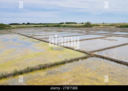 Seawater salt pans, Guerande, Loire-Atlantique, Pays de la Loire, Brittany, France Stock Photo