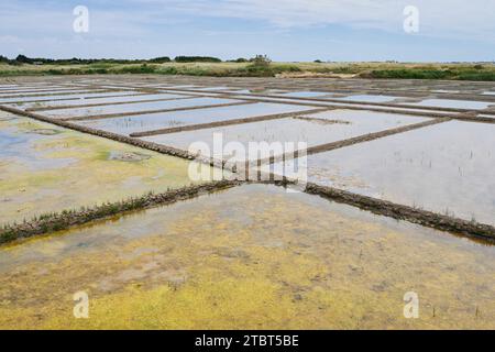 Seawater salt pans, Guerande, Loire-Atlantique, Pays de la Loire, Brittany, France Stock Photo