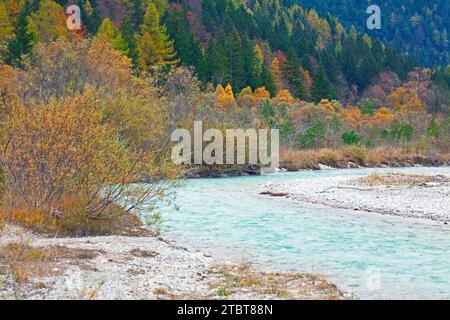 Autumn forest on the Isar near Mittenwald in the Upper Isar Valley, Upper Bavaria, Bavaria, Germany Stock Photo