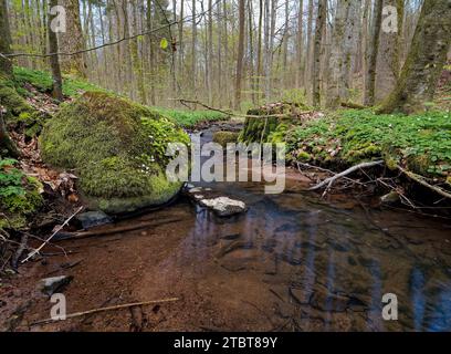 Landscape in the Weilersbachtal nature reserve in the Steigerwald Nature Park, municipality of Rauhenebrach, Haßberge district, Schweinfurt district, Lower Franconia, Franconia, Germany Stock Photo