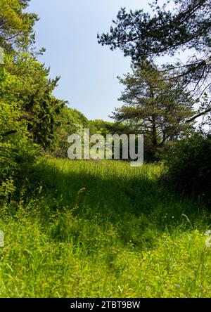Knzell Bei Fulda
