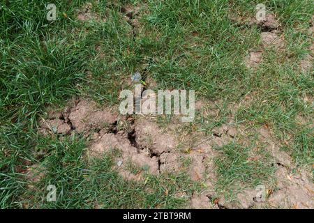 Dry cracks in the ground Stock Photo