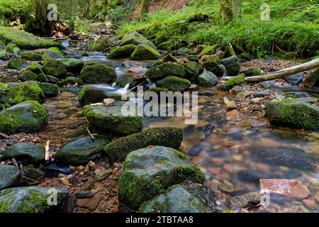 The Feldbach stream in the Kaskadenschlucht gorge near Sandberg, town of Gersfeld, Rhön Biosphere Reserve, Hesse, Germany Stock Photo
