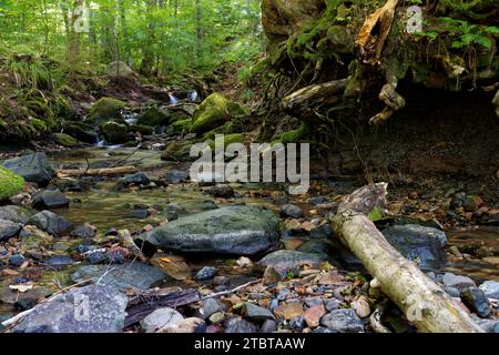 The Feldbach stream in the Kaskadenschlucht gorge near Sandberg, town of Gersfeld, Rhön Biosphere Reserve, Hesse, Germany Stock Photo