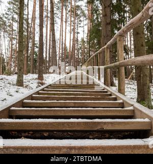 Uphill pathways etched in wood weave through Tervetes Dabas Parks' snowy haven, inviting explorers to ascend amidst winter's charm. Stock Photo