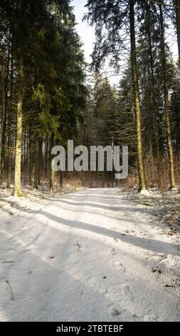 A tranquil path adorned with snow, embraced by the warmth of sun rays peeking through the wintry woods. Stock Photo