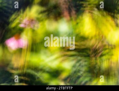 Defocused abstract nature background Stock Photo