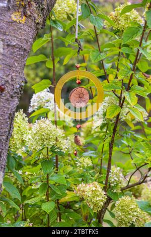 Garden decoration on hydrangea, home-made Stock Photo
