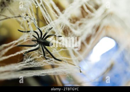 Fake Spider Entangled in Synthetic Cobwebs for Halloween Decor Close-Up Stock Photo