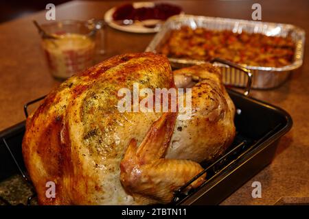Golden Roasted Turkey with Festive Meal Elements in Homey Evening Ambiance Stock Photo