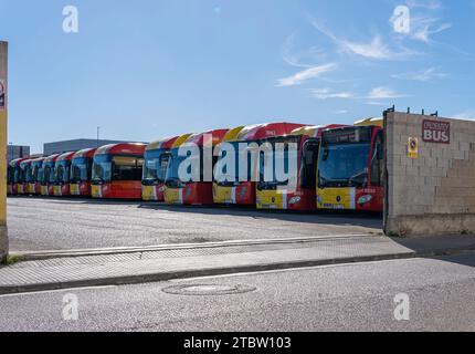 Felanitx, Spain; december 06 2023: Buses of the public company TIB, transport of the Balearic Islands, parked in an industrial park on a sunny morning Stock Photo