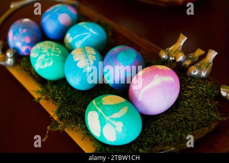 Easter Celebration with Natural Dyed Blue and Purple Eggs on Moss Bed Stock Photo