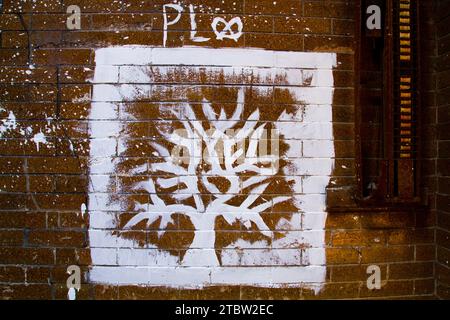 Urban Decay and Graffiti Art Tree on Aged Brick Wall, St. Louis Illinois Stock Photo