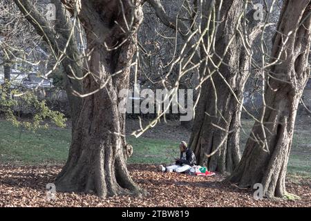 London, UK - Nov 25, 2023 - Young woman sits on a green lawn and resting under tree in autumn park. She is listening to music in the sunny warm day, S Stock Photo