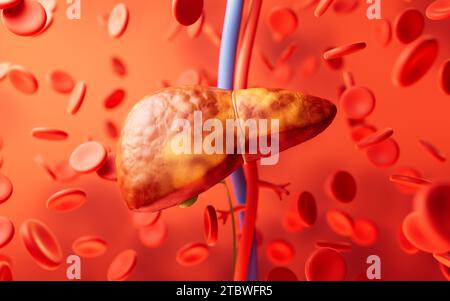 Liver organ with fatty liver state, 3d rendering. 3D illustration. Stock Photo
