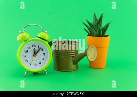 Indoor plant watering schedule concept still life with small vintage metal watering can, classic blue alarm clock and potted succulent plant in Stock Photo