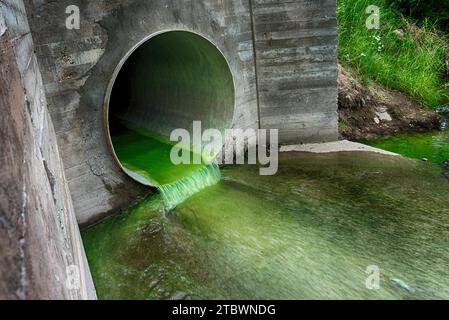 Bright green polluted effluent flowing through a drainage pipe exiting through a concrete wall in an environmental and ecological concept Stock Photo