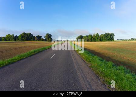Low angle view of the empty rural asphalt road in a diminishing or receding perspective between green fields under a blue cloudy sky Stock Photo