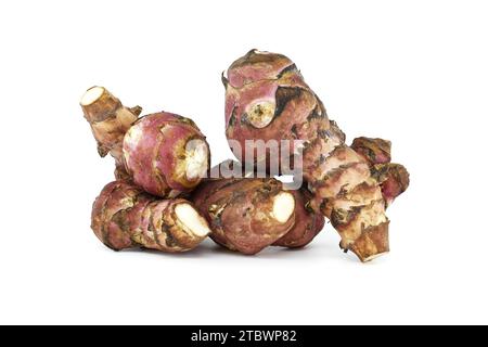 Topinambur, also called sunroot, sunchoke, wild sunflower or Jerusalem artichoke (Helianthus tuberosus) isolated on white background Stock Photo