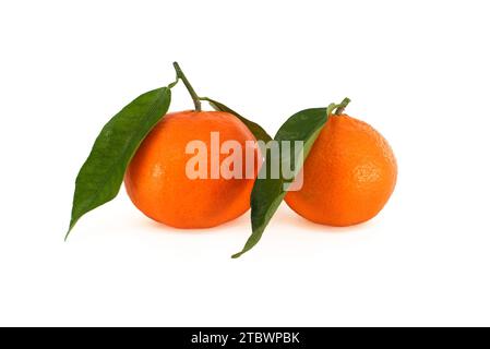 Mandarin orange, tangerines or clementine fruits with green leaves isolated on white background Stock Photo