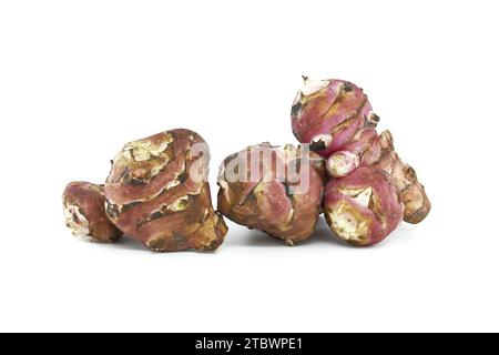 Jerusalem artichoke (Helianthus tuberosus), also called sunroot, sunchoke, wild sunflower or topinambur isolated on white background Stock Photo