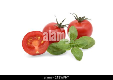 Cherry tomatoes with basil leaves isolated on white background Stock Photo