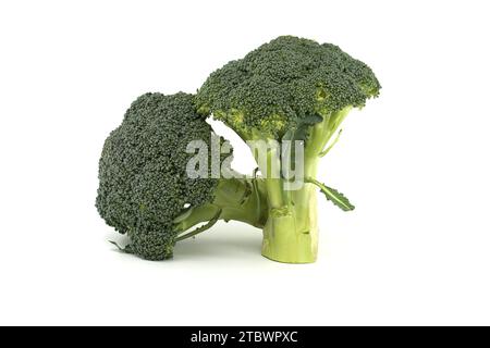 Broccoli flower heads isolated on white background, full depth of field Stock Photo