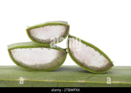 Aloe vera leaf slices showing the inside gel of the plant isolated on white background Stock Photo