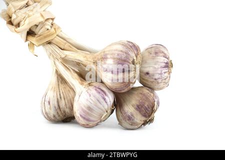 Braided garlic bulbs ready for storage isolated on white background Stock Photo