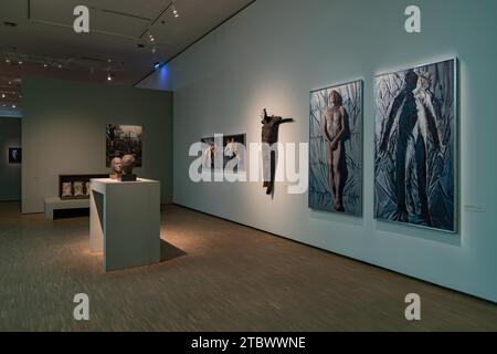 A picture of the Gallery of Polish Art after the year 1945, a permanent exhibition of the SIlesian Museum Stock Photo