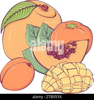 Papaya, leaf, whole fruit and half. Ripen and raw. Summer fruits for ...