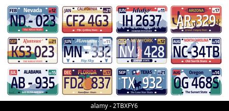 Vehicle registration plate. American license plate with state name and numbers, Idaho, Texas, Oregon, Arizona, California, Nevada, Kanzas, Florida. Ve Stock Vector