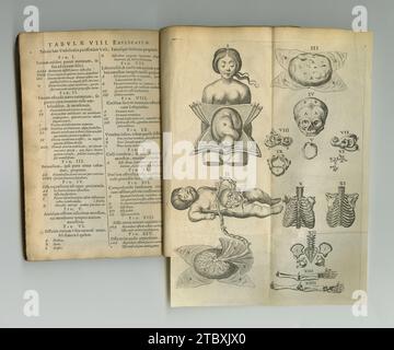 Rustic journal of medicine. An old anatomy book with its pages on ...